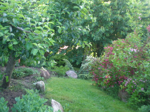 Dróżka w głąb ogrodu