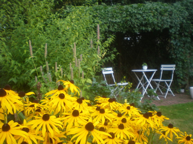 Kącik pod winobluszczem