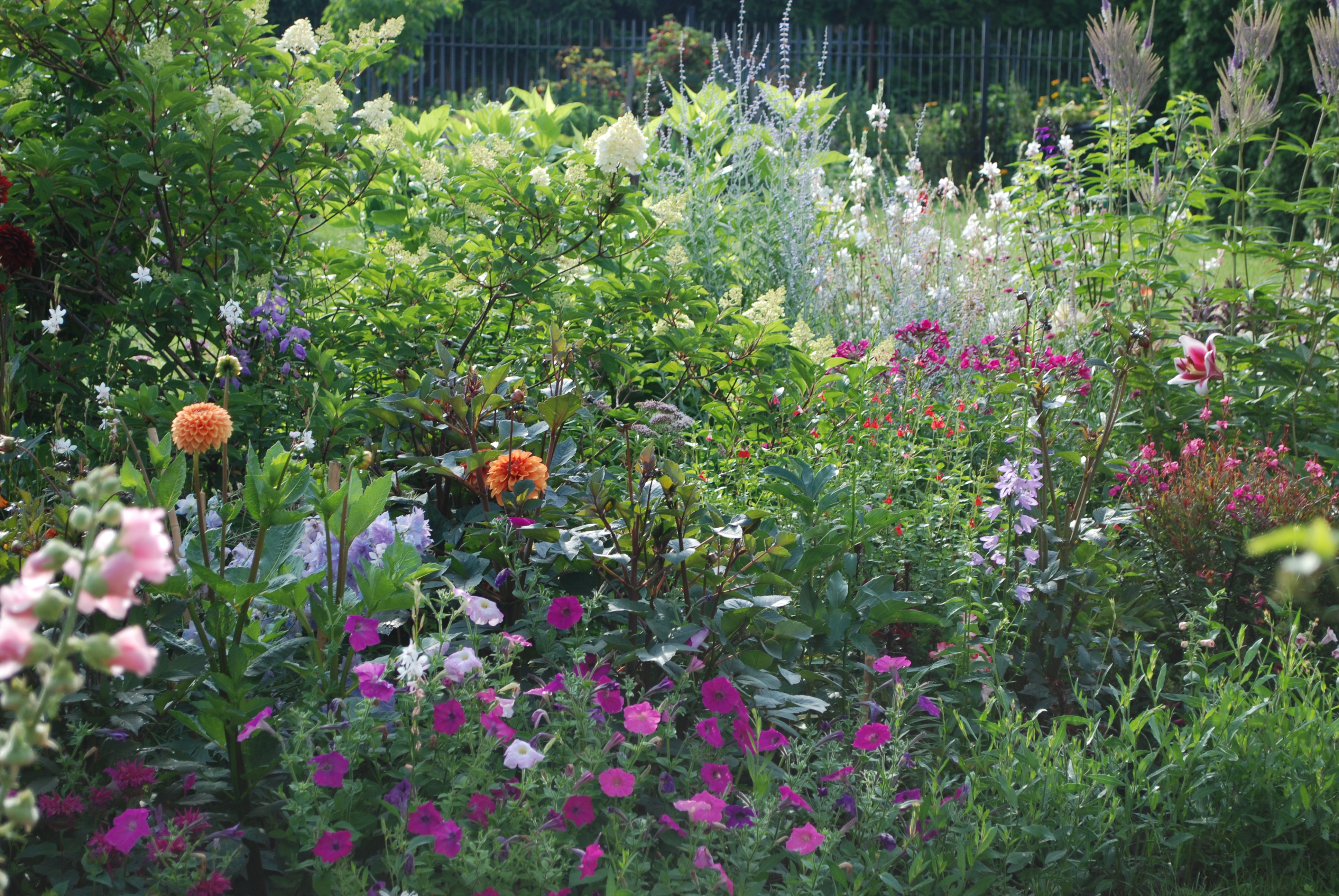 Kolorowy letni miszmasz