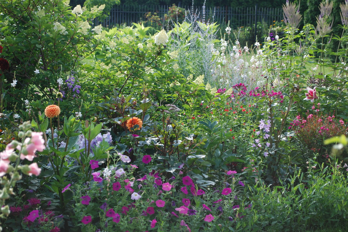 Kolorowy letni miszmasz