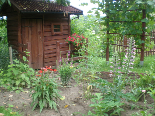 Młoda rabata tuż po ulewnym deszczu