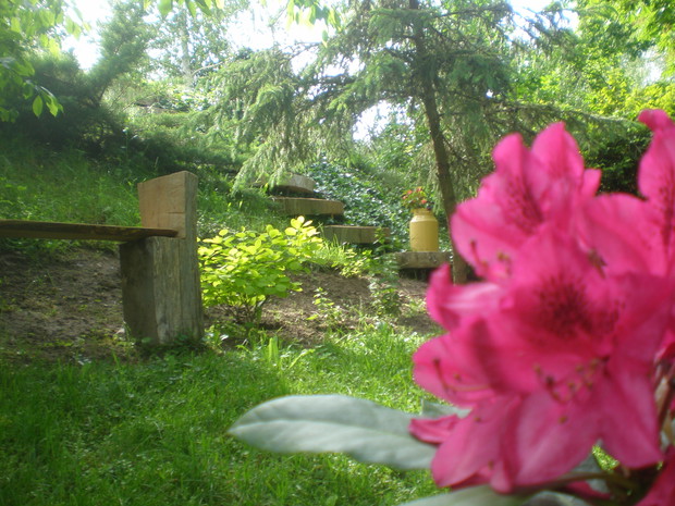 Północna część ogrodu