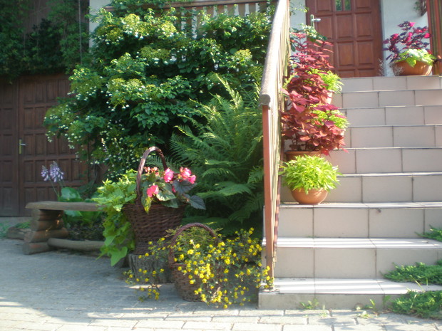 Przed wejściem do domu