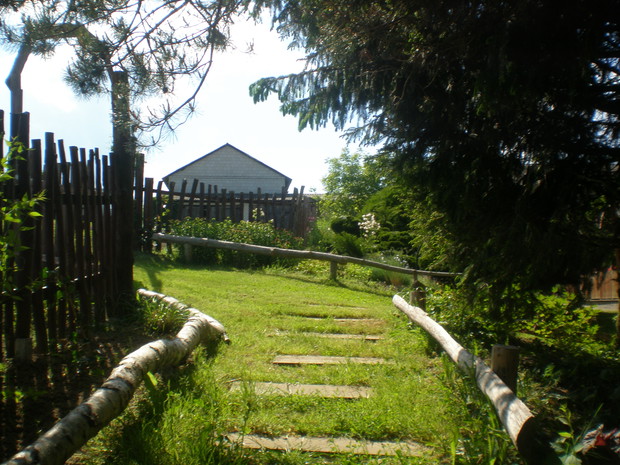 Ścieżka na warzywnik