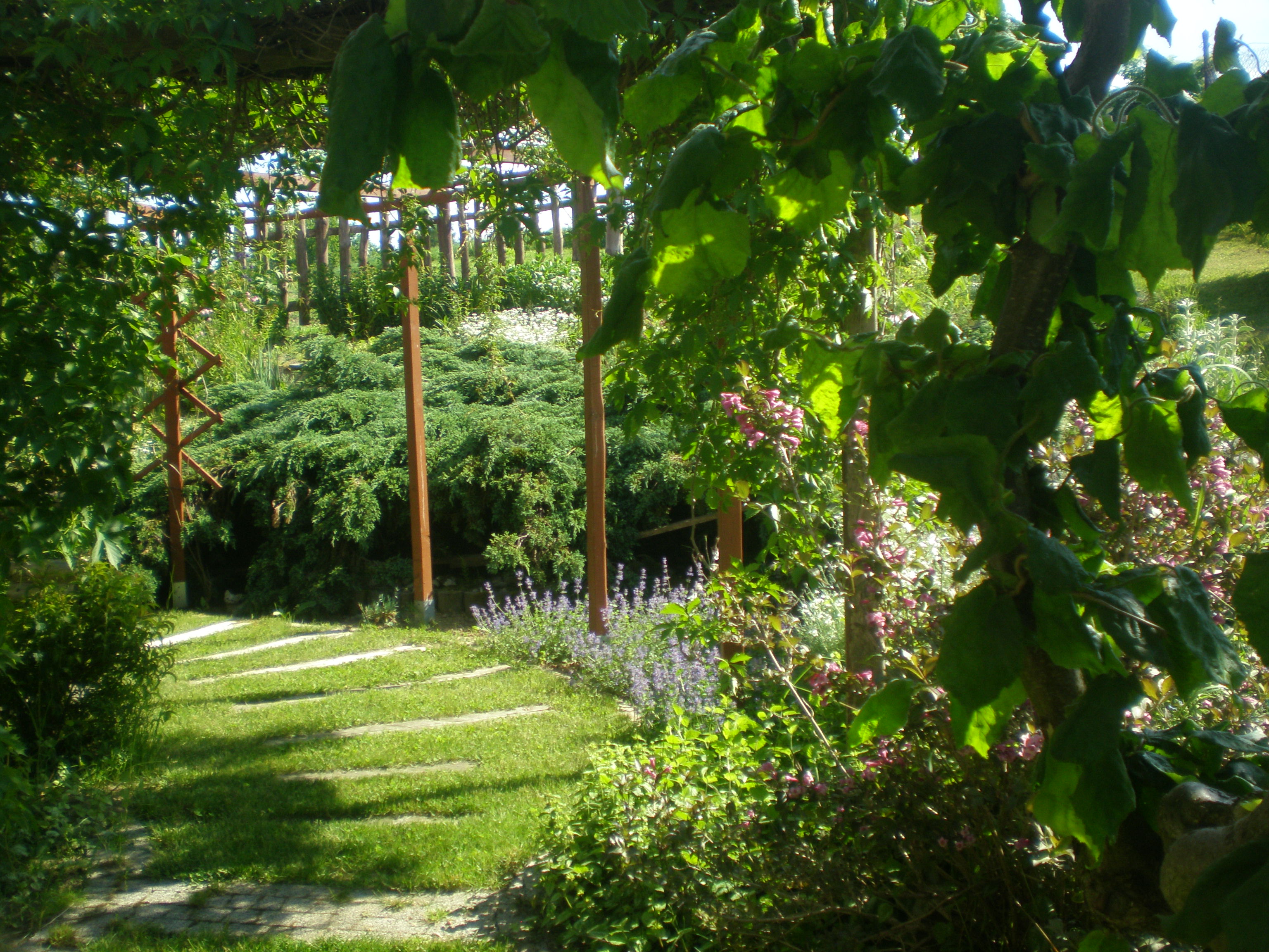 Ścieżka za tarasem