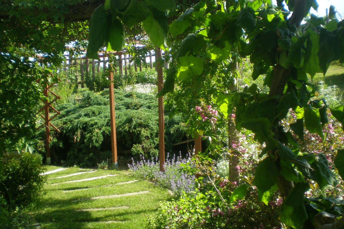 Ścieżka za tarasem