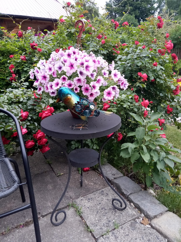 Surfinia na stoliku kawowym w towarzystwie metalowego ptaka