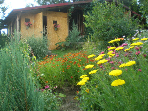 W tle domek warsztatowy