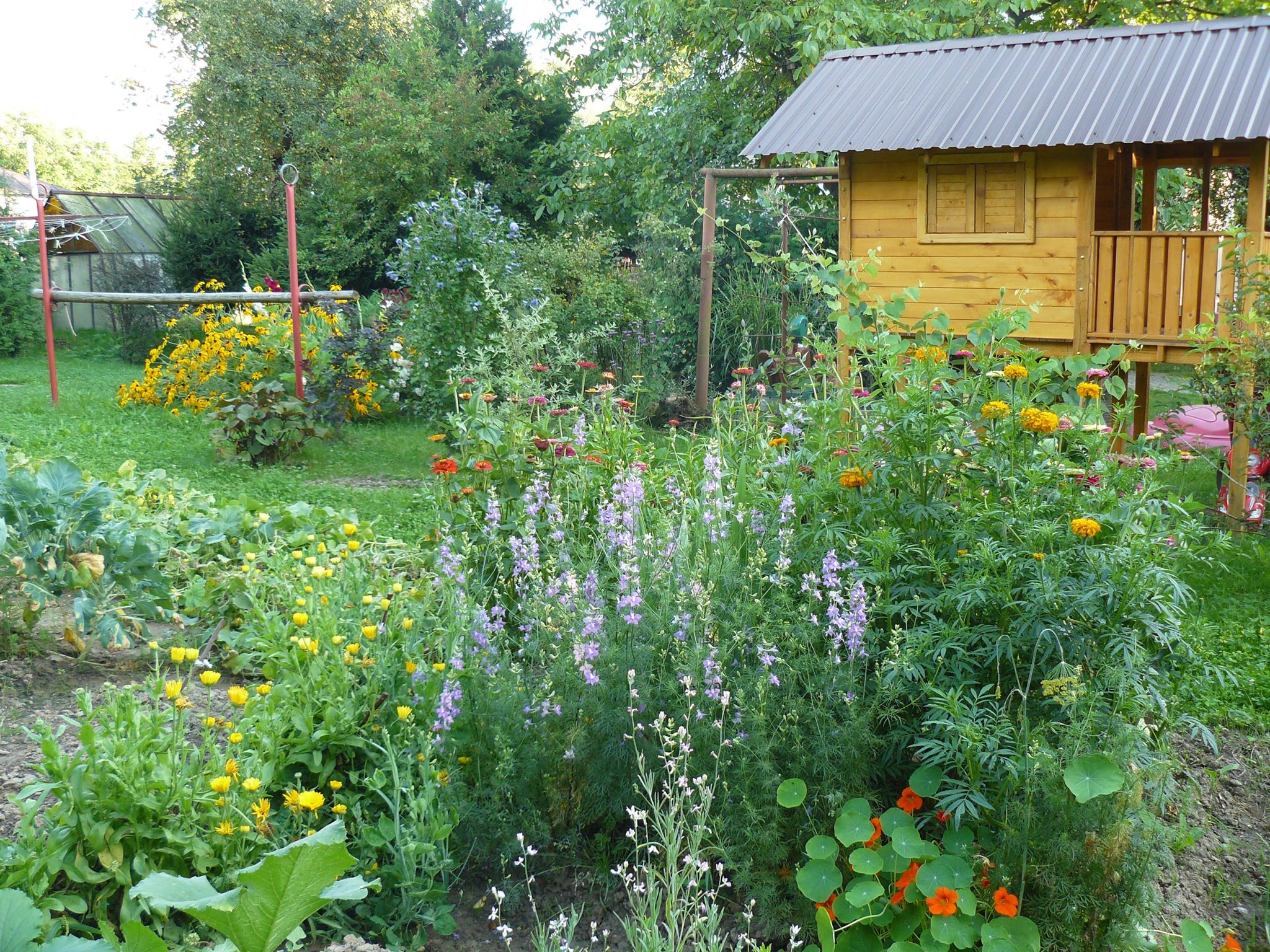 domek wśród kwiatów