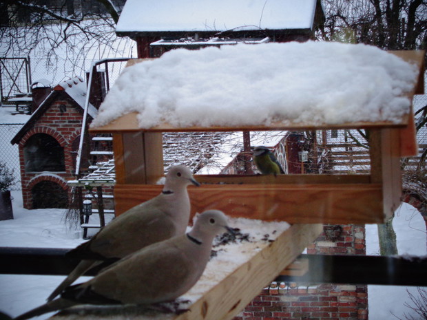 Każda ptaszyna mile widziana.
