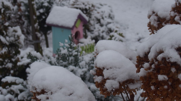 Kolorowe budki ożywiają ogród zimą