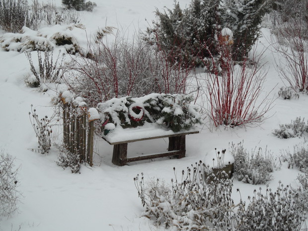 Ławka ogrodowa - ujęcie drugie.