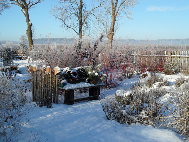 Ławka w śniegu.