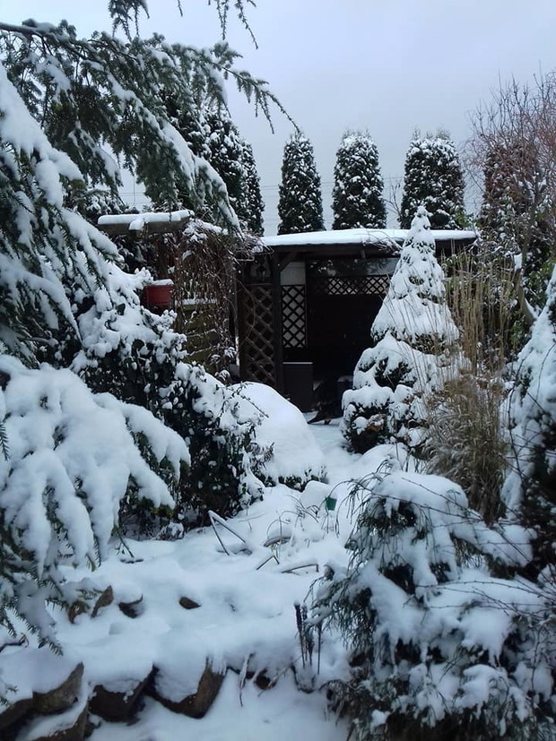 oczko wodne zasypane śniegiem
