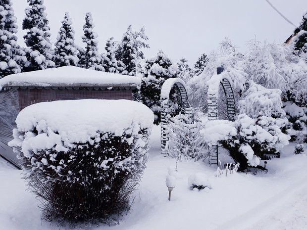 Ogrod pod pierzynką