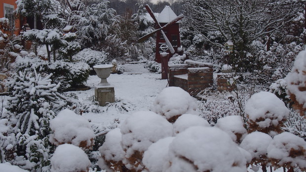 Ogród pokryty śnieżnym puchem