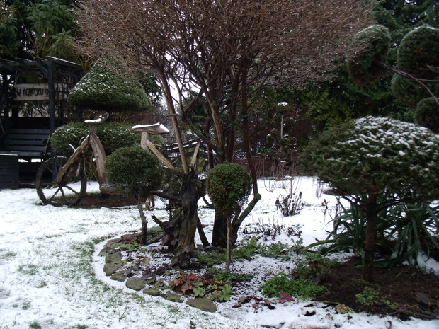 Ogród w styczniu