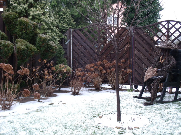 Ogród w styczniu