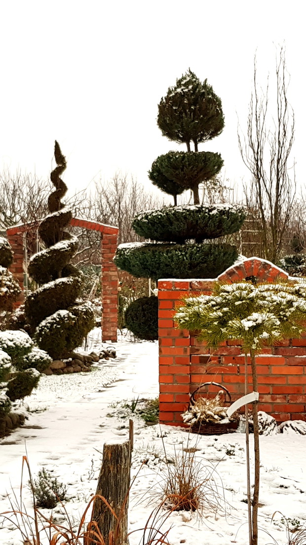 Ogród w zimowych miesiącach