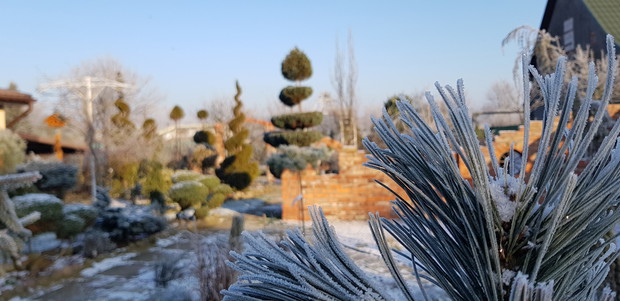 Ogród w zimowych miesiącach