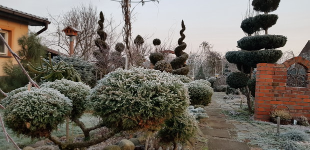 ogród w zimowych miesiącach