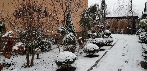 Ogród w zimowych miesiącach