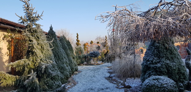 Ogród w zimowych miesiącach