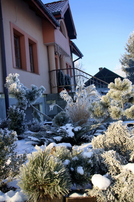 Ogródek przed domem.