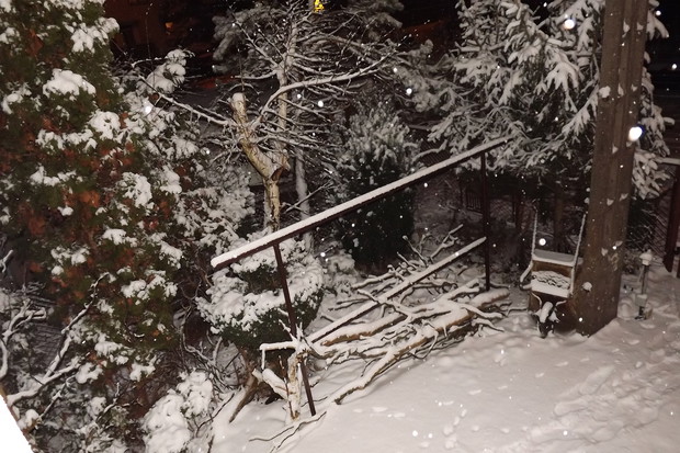 Płatki śniegu nocą.