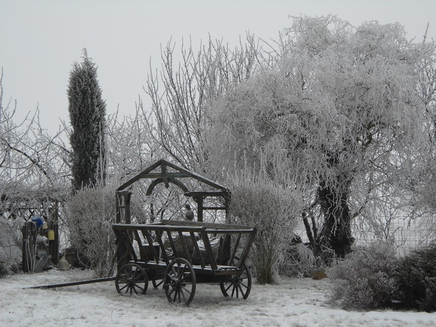 Przez naturę malowane.