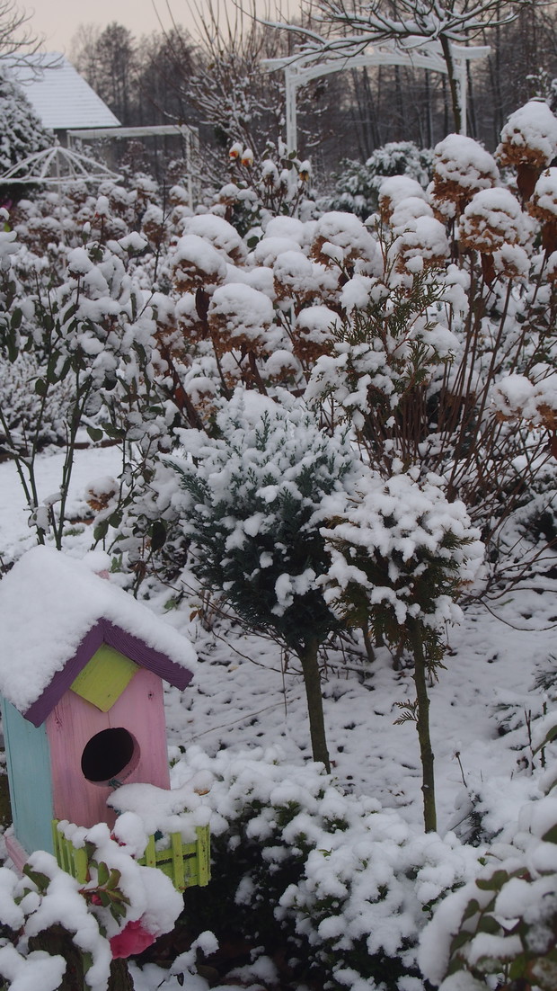 Ptasia budka zimą