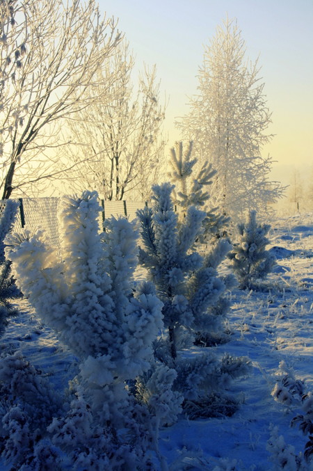 Śnieżnie, zimowo, wspaniale!!!