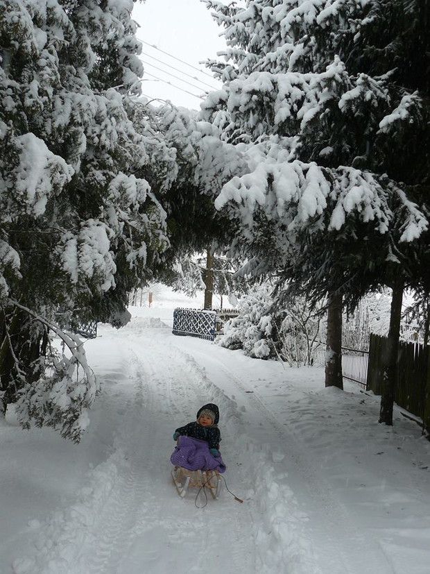 Tuje złożone w tunel