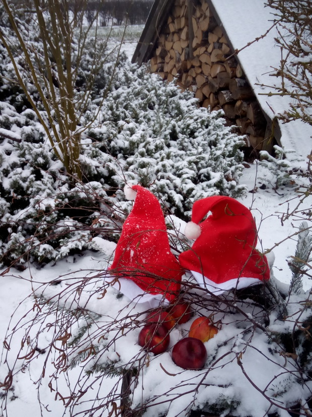 Zdodatkiem czerwieni.