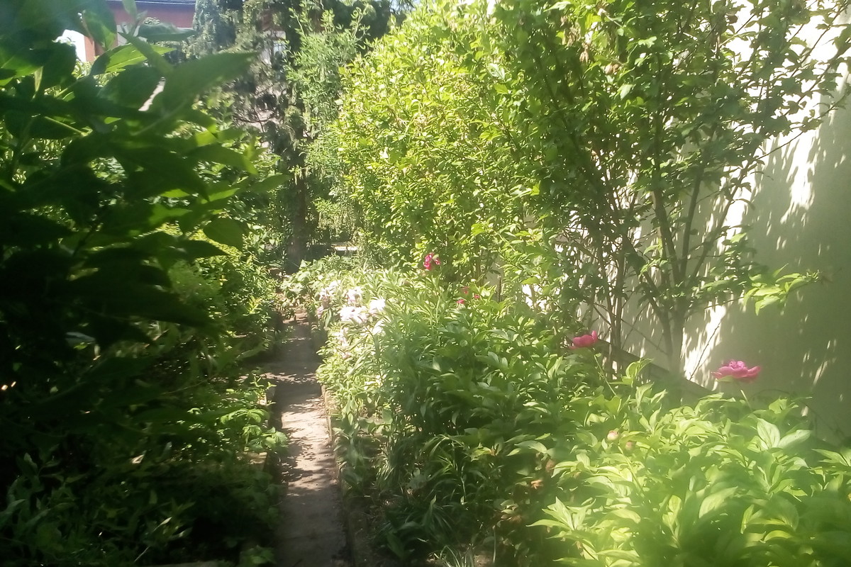 Do ideału jeszcze daleko