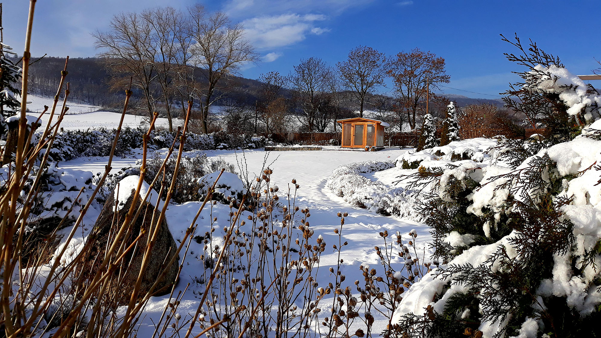 Pod białą pierzynką