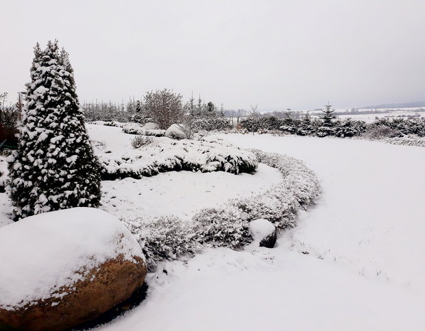 Pod białą pierzynką