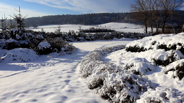 Pod białą pierzynką