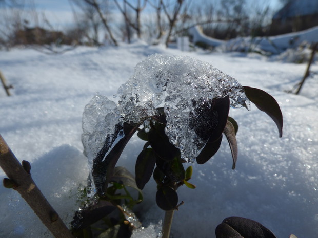 Pod zimową kołderką