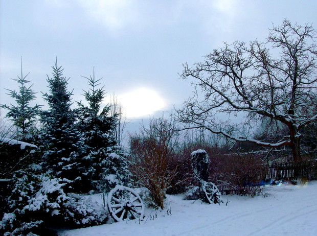 podwórko, a przy nim skalniak