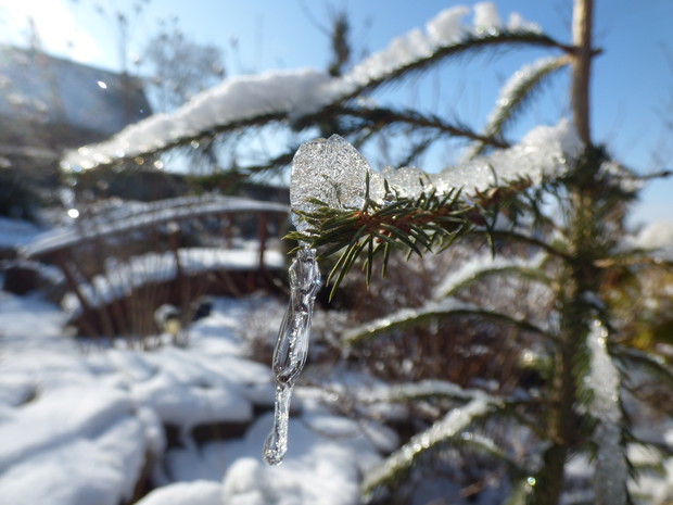 Sopelek w promieniach zimowego słoneczka