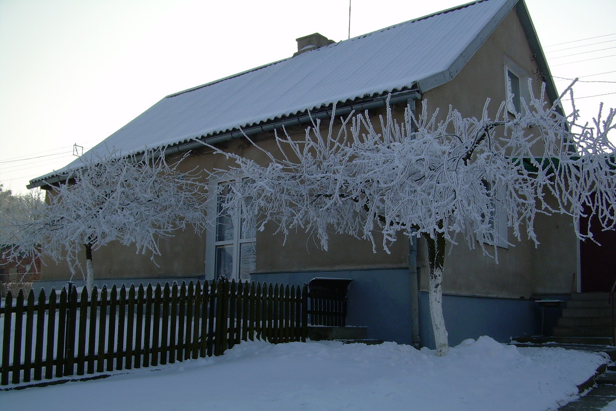 Szron na wiśniach