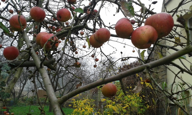 "Waldemar" jesienią