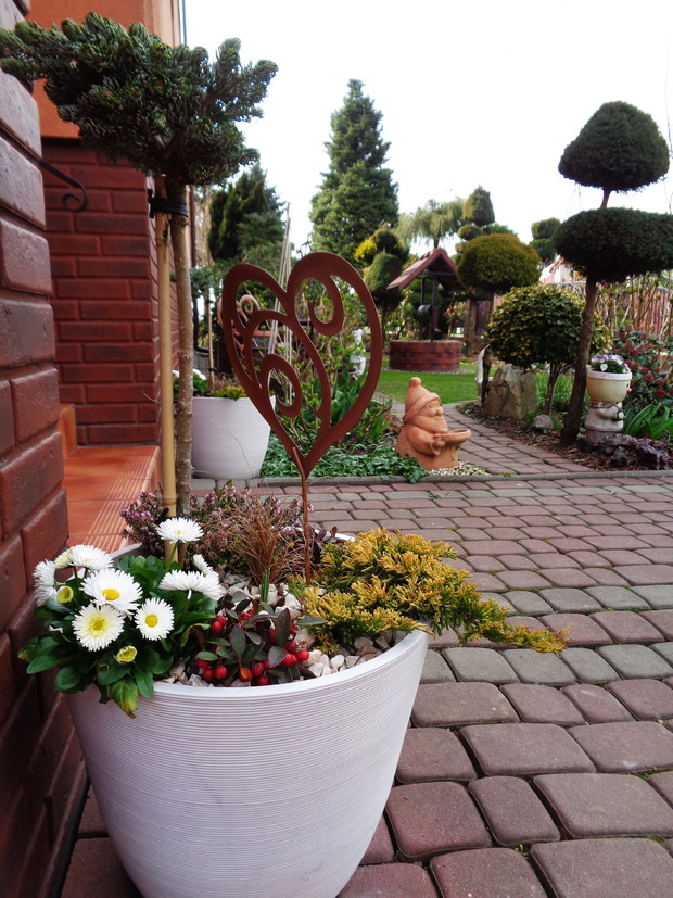 Aranżacja doniczkowa