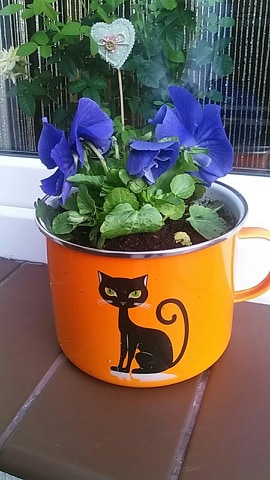 Doniczka z pomysłem.