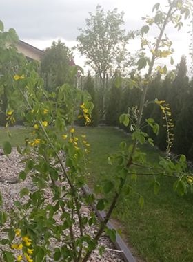 Klaudia Grzegorzewska