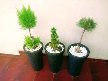 Klaudia Grzegorzewska