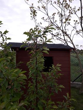 Klaudia Grzegorzewska