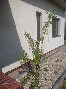 Klaudia Grzegorzewska