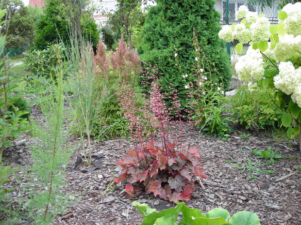 kolorowy zawrot glowy